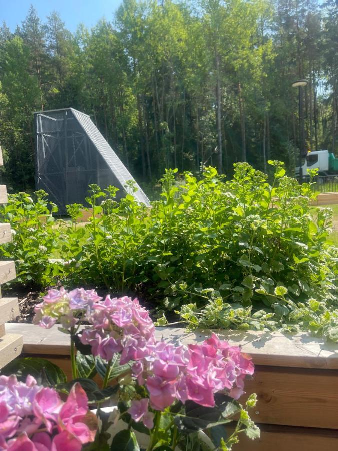 Haalia Homes Turku Paeaeskynpesae Esterno foto