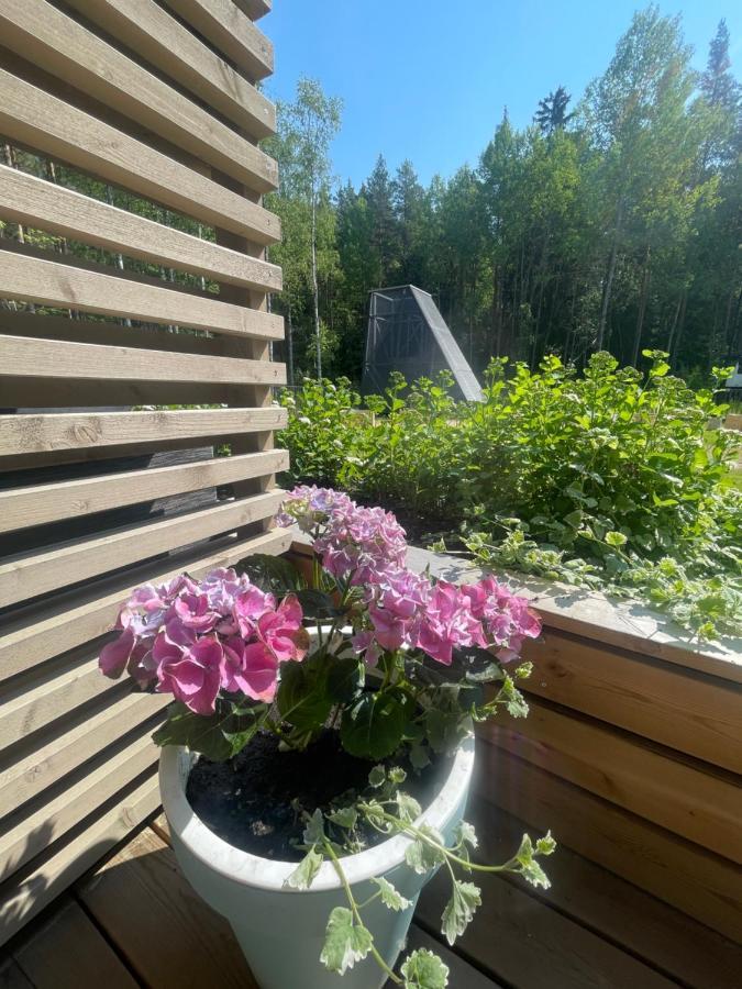 Haalia Homes Turku Paeaeskynpesae Esterno foto